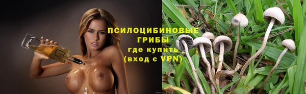 не бодяженный Алзамай