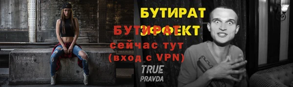 ПСИЛОЦИБИНОВЫЕ ГРИБЫ Сосновый Бор