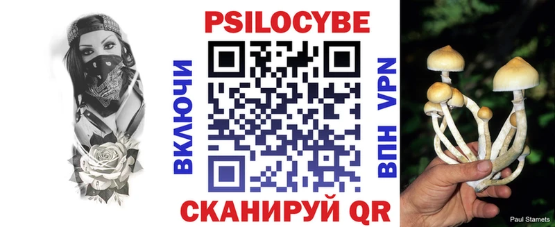 Псилоцибиновые грибы мицелий  гидра как зайти  Дзержинский 