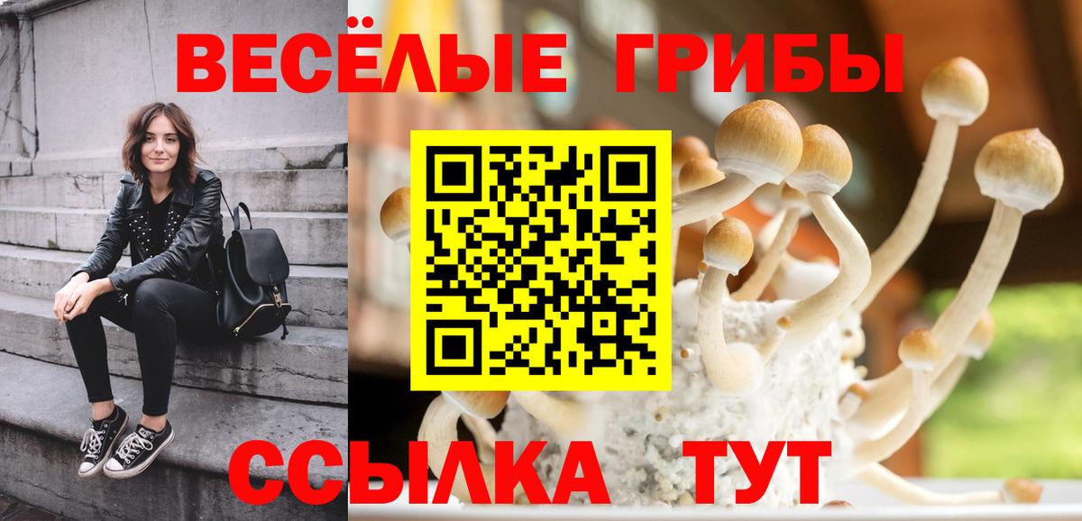 Псилоцибиновые грибы Psilocybe Дзержинский